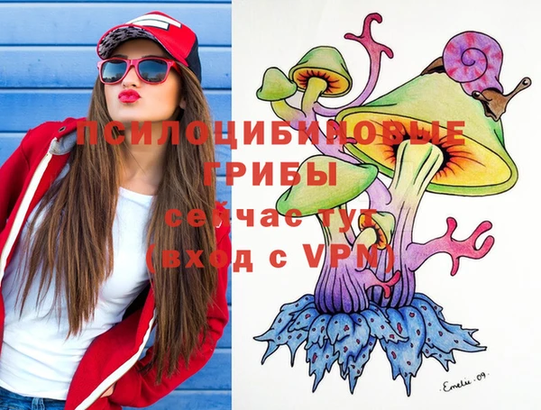 марки lsd Инсар
